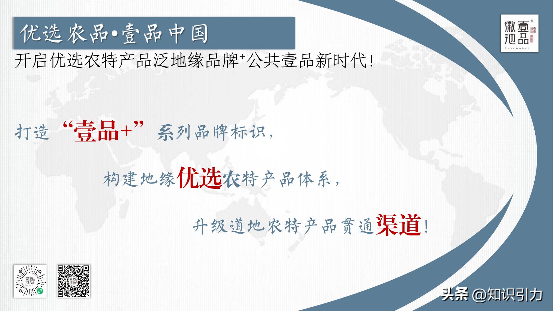 加盟招商运营成功案例,招商加盟案例库