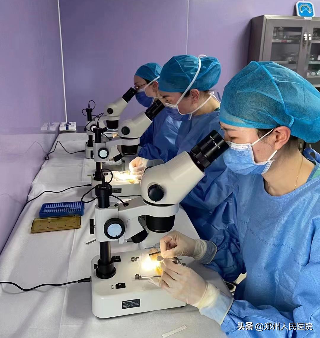 种植眉毛有哪些方法图,怎么种植眉毛效果最好