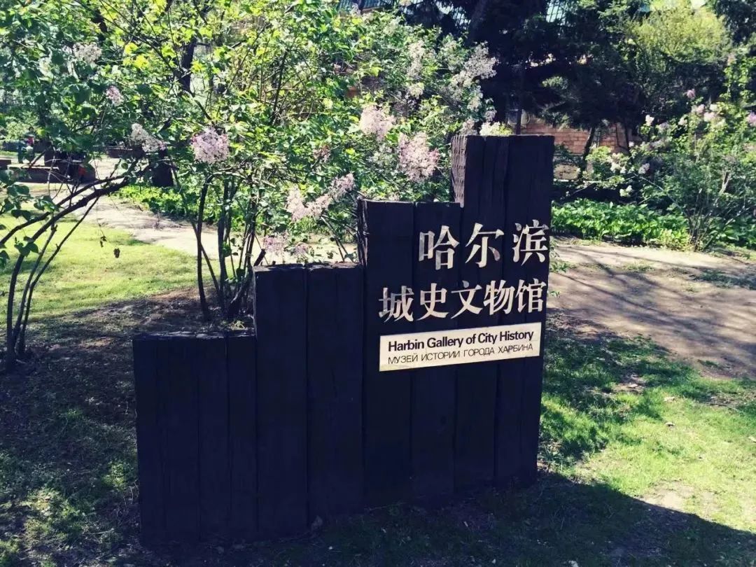 梁晓声人世间哈尔滨,梁晓声谈人世间哈尔滨