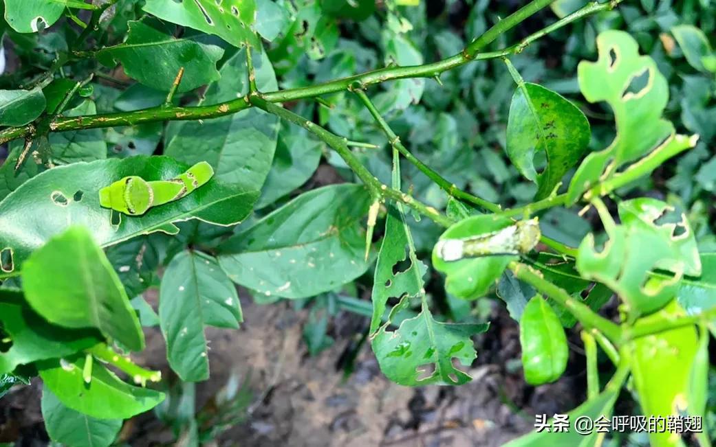 5个月的等待,经过5个多月的漫长等待