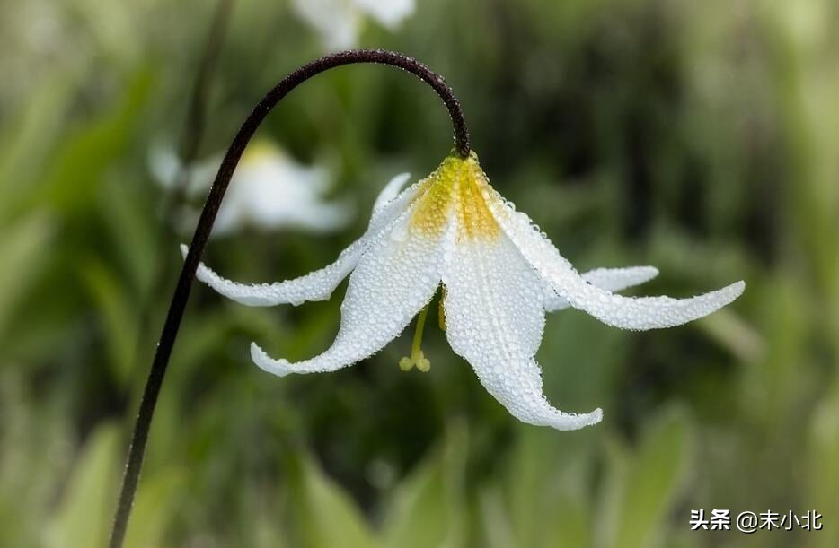 开挂必须要知道的知识,开挂需要知道的知识