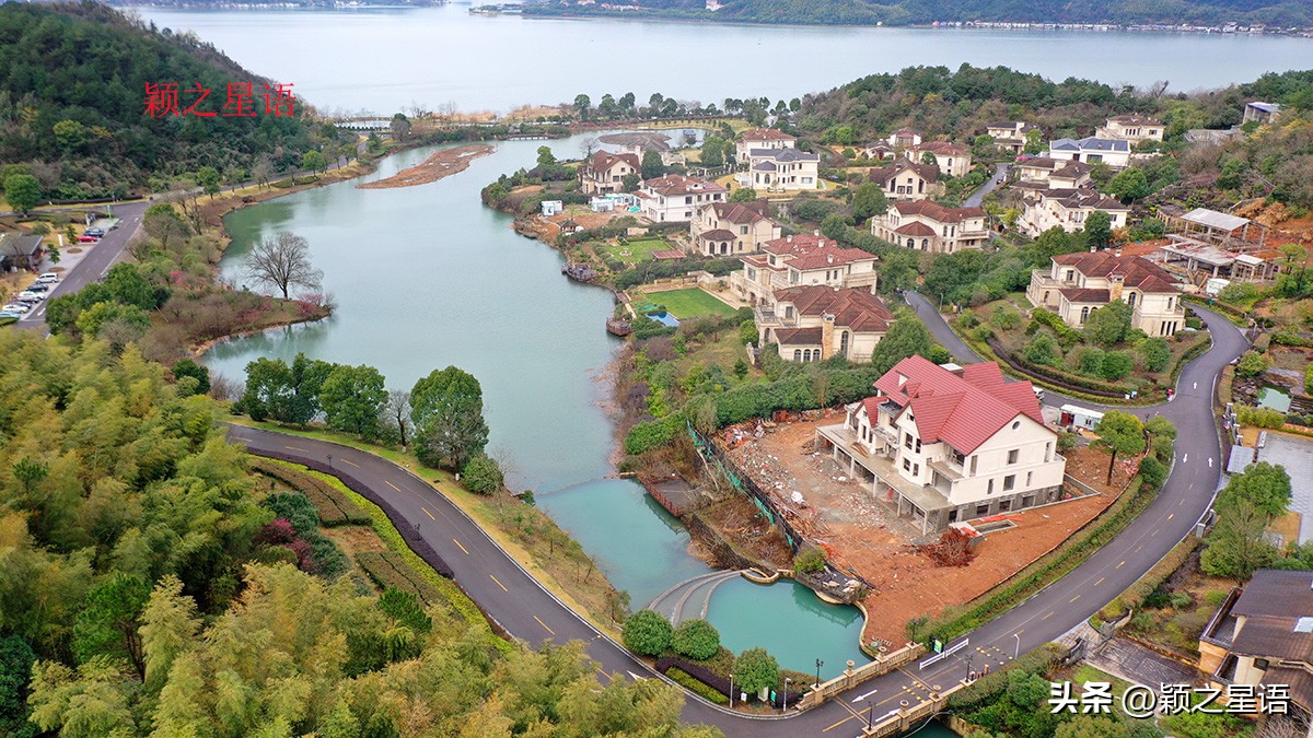 没有花的花博园，收费变免费，梅花正艳