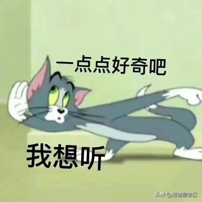 草堂子美,草堂子美怎么样