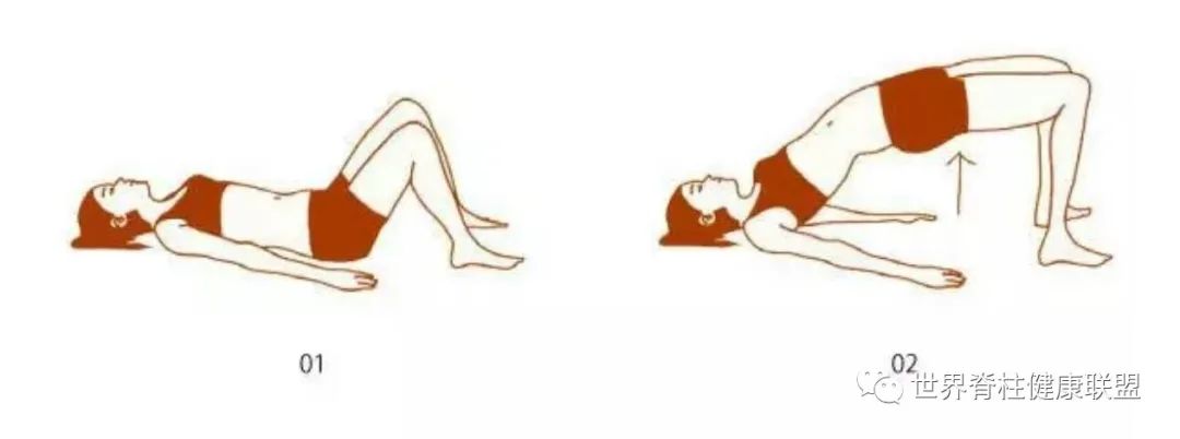 “啪啪啪”的玄机，原来在这块肌肉上