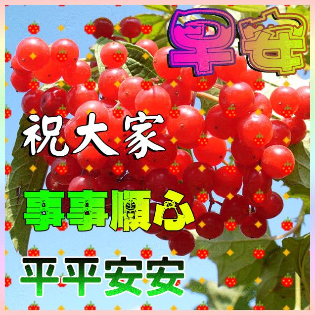 最新星期天早上好祝福动态表情图,周三早上好问候祝福动态表情图片