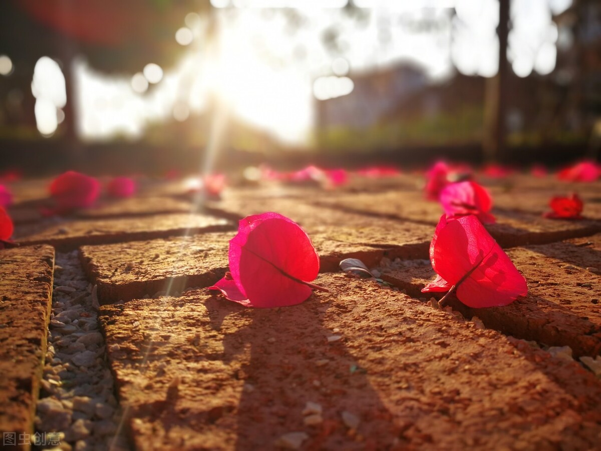 想你了想念一个人高情商表达,思念一个人的句子我想你了