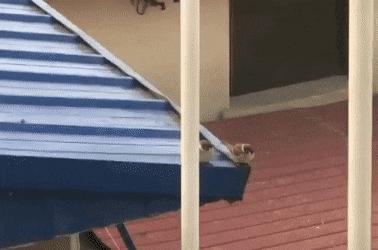 【被窝段子20221225】每个人的花期不同不必焦虑有人比你提前拥有