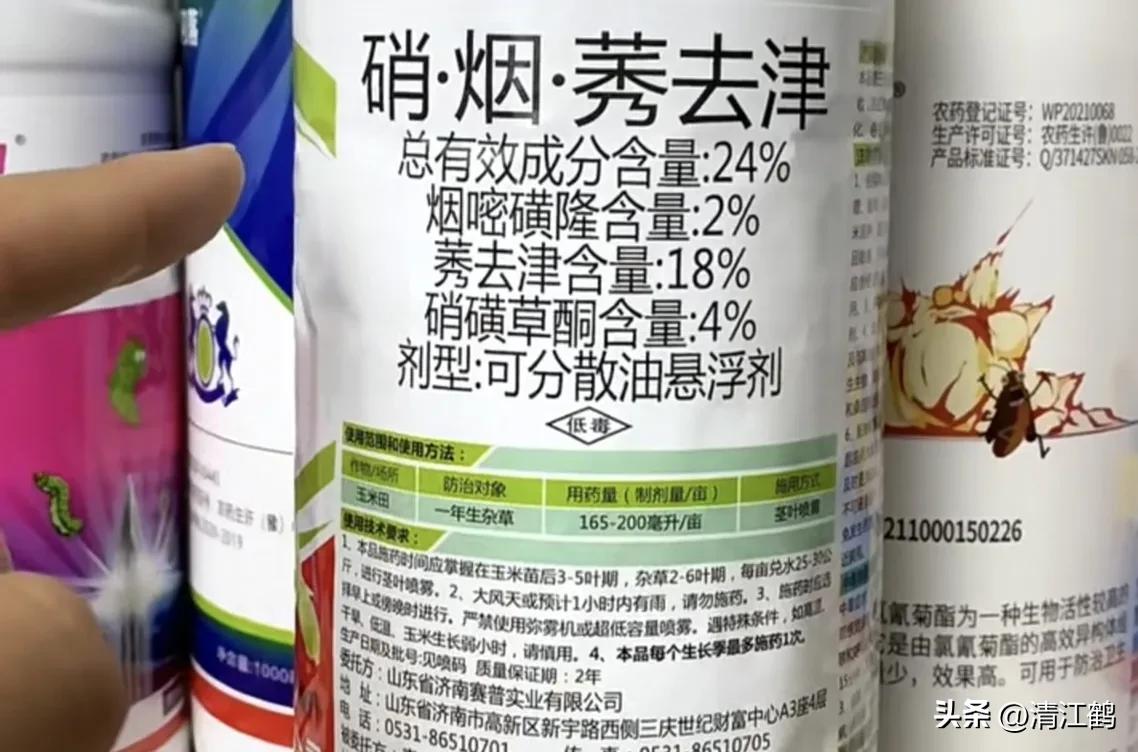 玉米除草剂药害最佳补救方法,玉米24d丁酯除草药害图片
