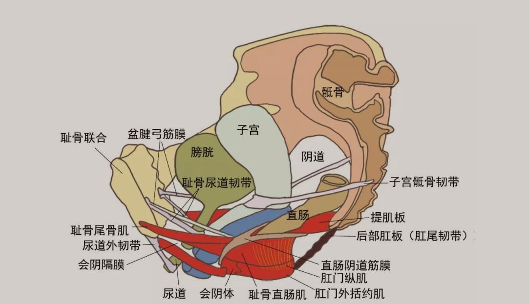 女性阴道有白色泡沫排出来，是咋回事？暗示了什么？看完涨知识了