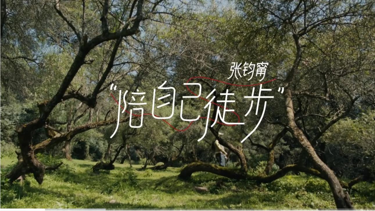 小红书伤感情文案,给小红书写文案赚钱