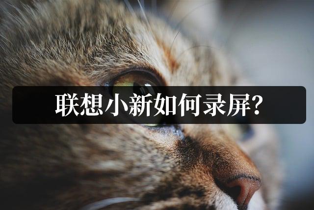 联想小新笔记本怎么录屏带声音,联想小新ppt录屏方法