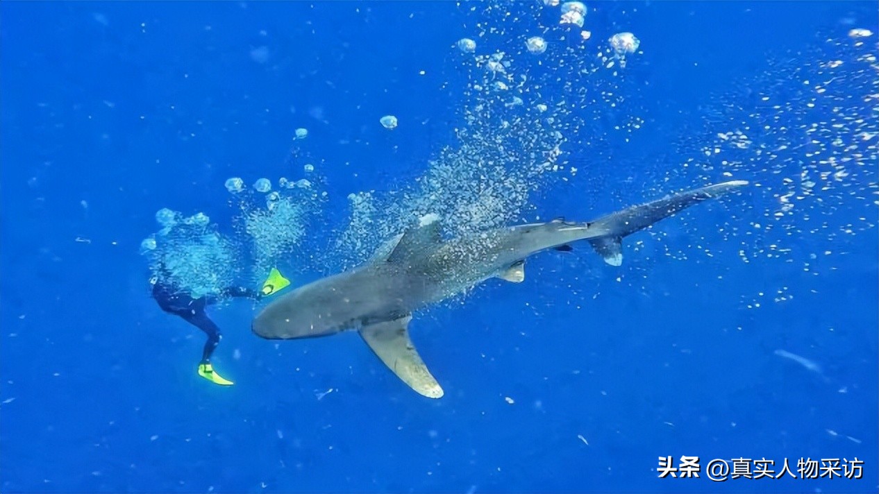 我福建人,一个人徒步旅游收获爱情
