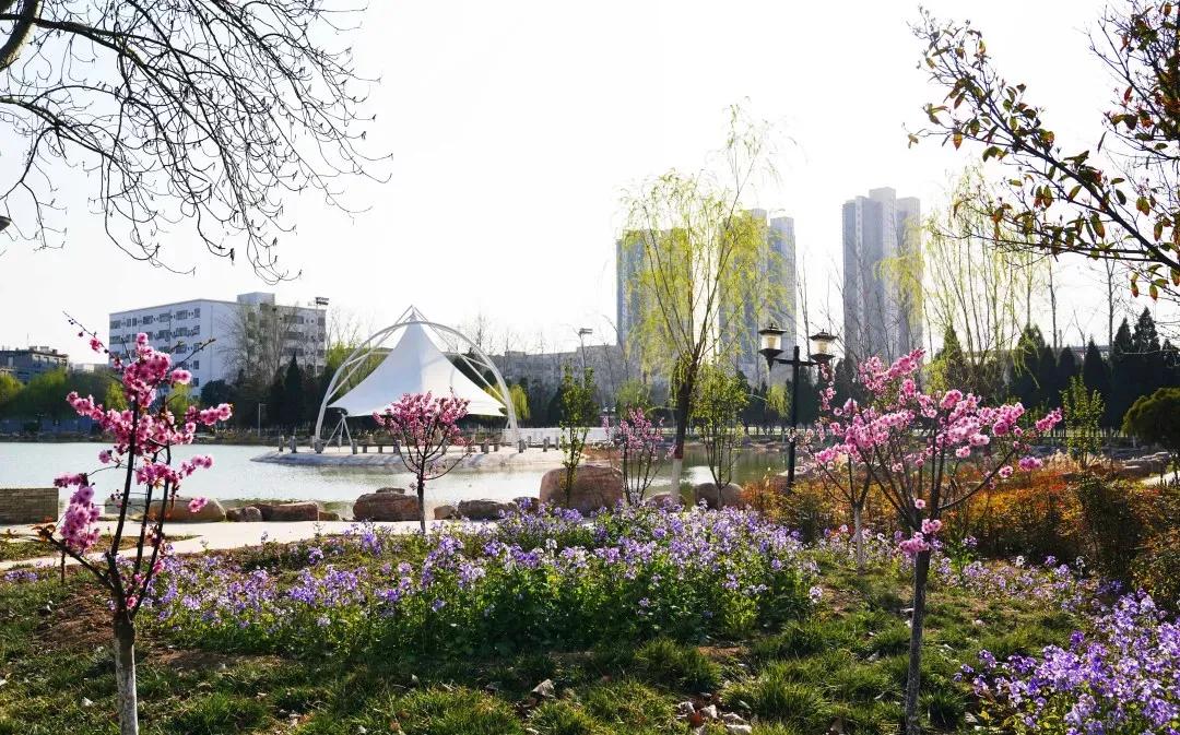 各高校招生计划在豫什么时候公布,各大院校在豫招生代码