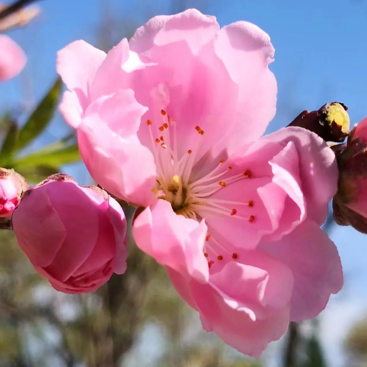 0511丽娣幸福日志第815篇