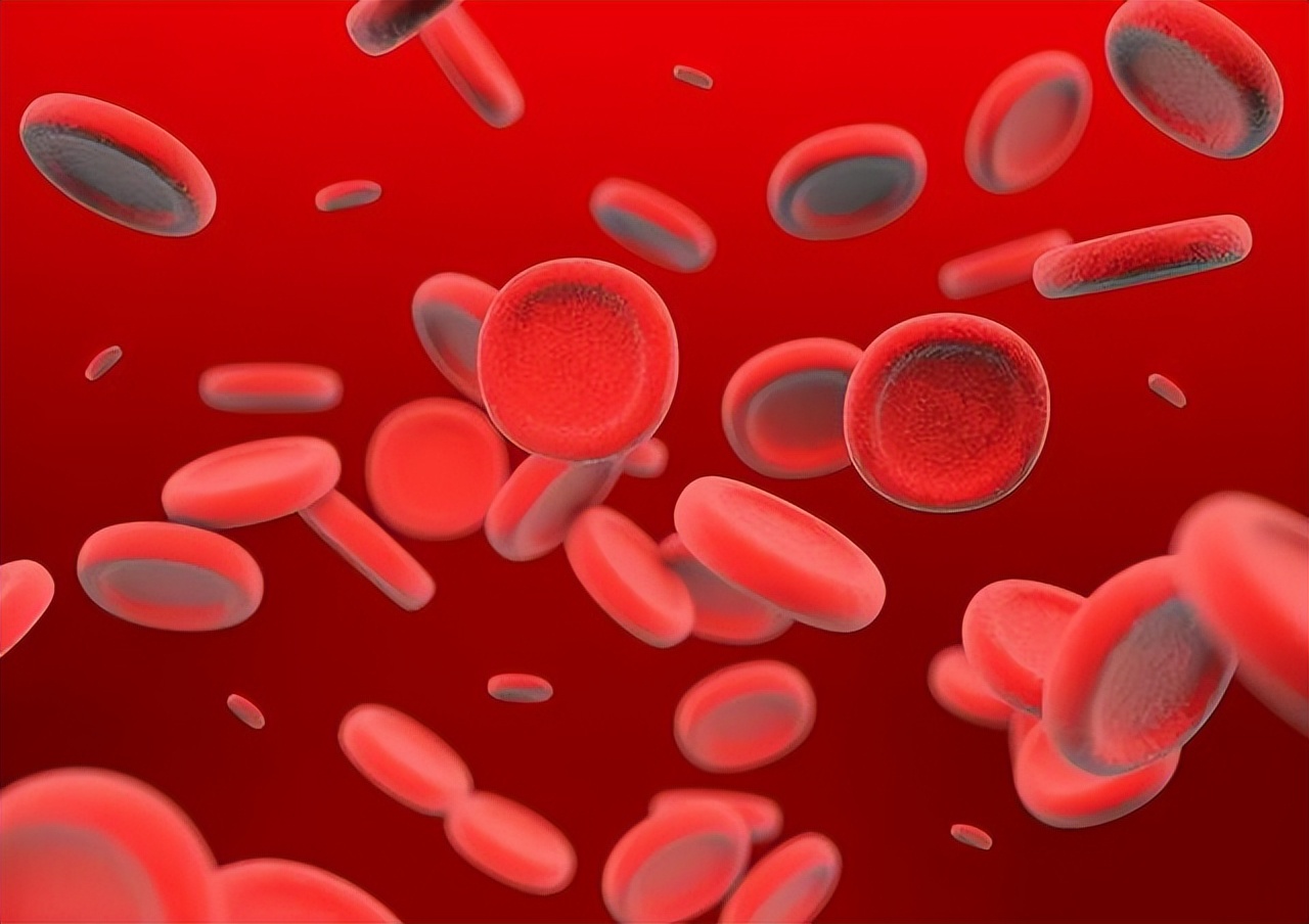 血常规检查各项指标都高什么原因,血常规中哪些指标升高需要再查