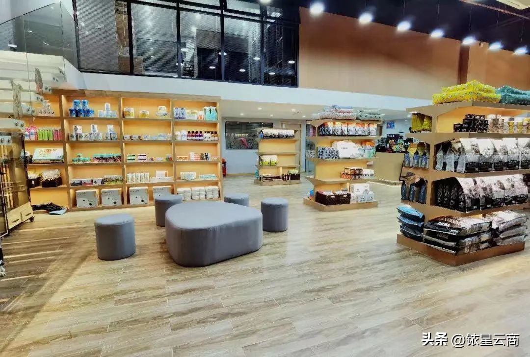 深挖人宠双向友好型空间,观澜湖集团带来哪些值得借鉴的经验?