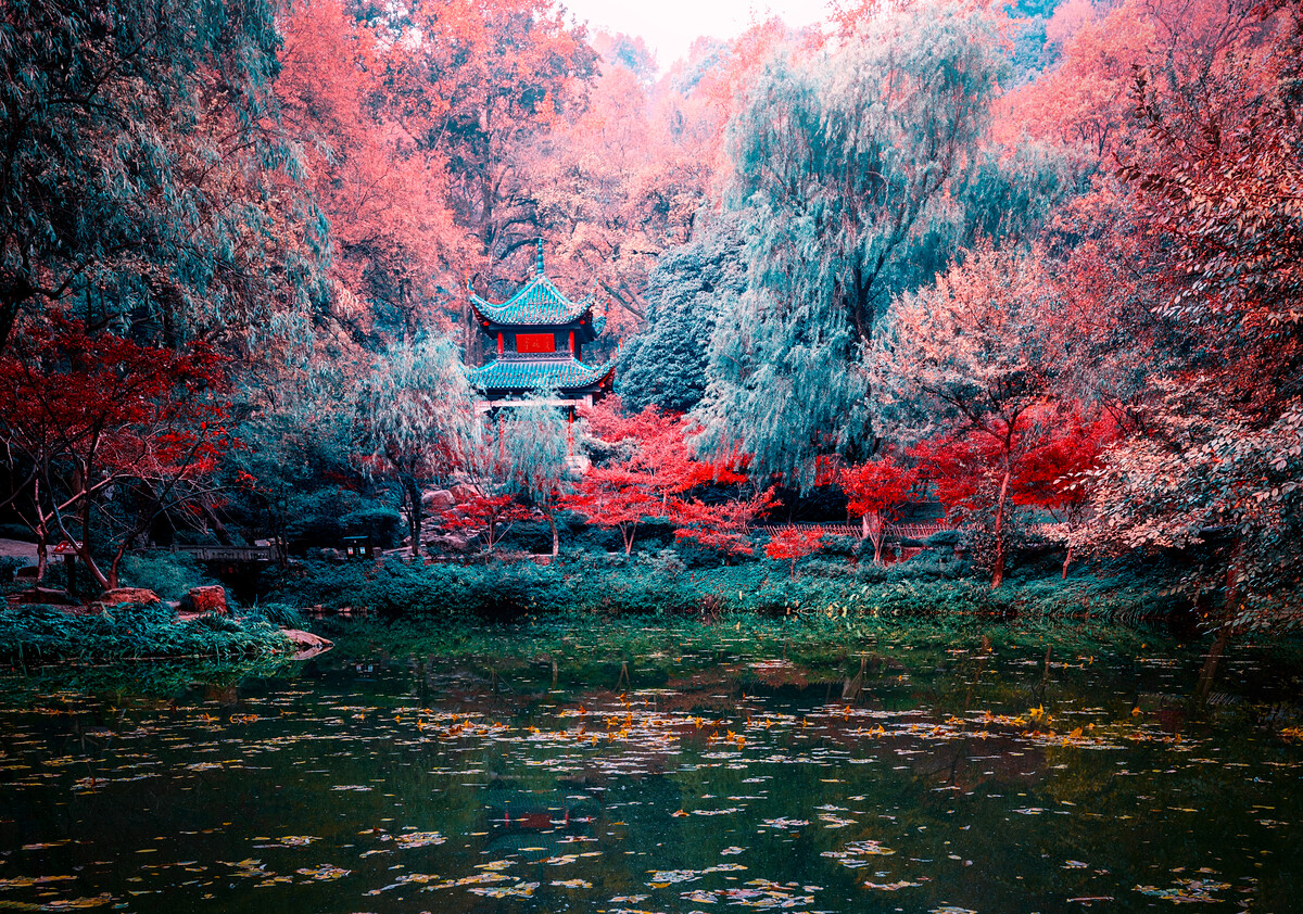 城市记忆之长沙篇,城市篇河南街