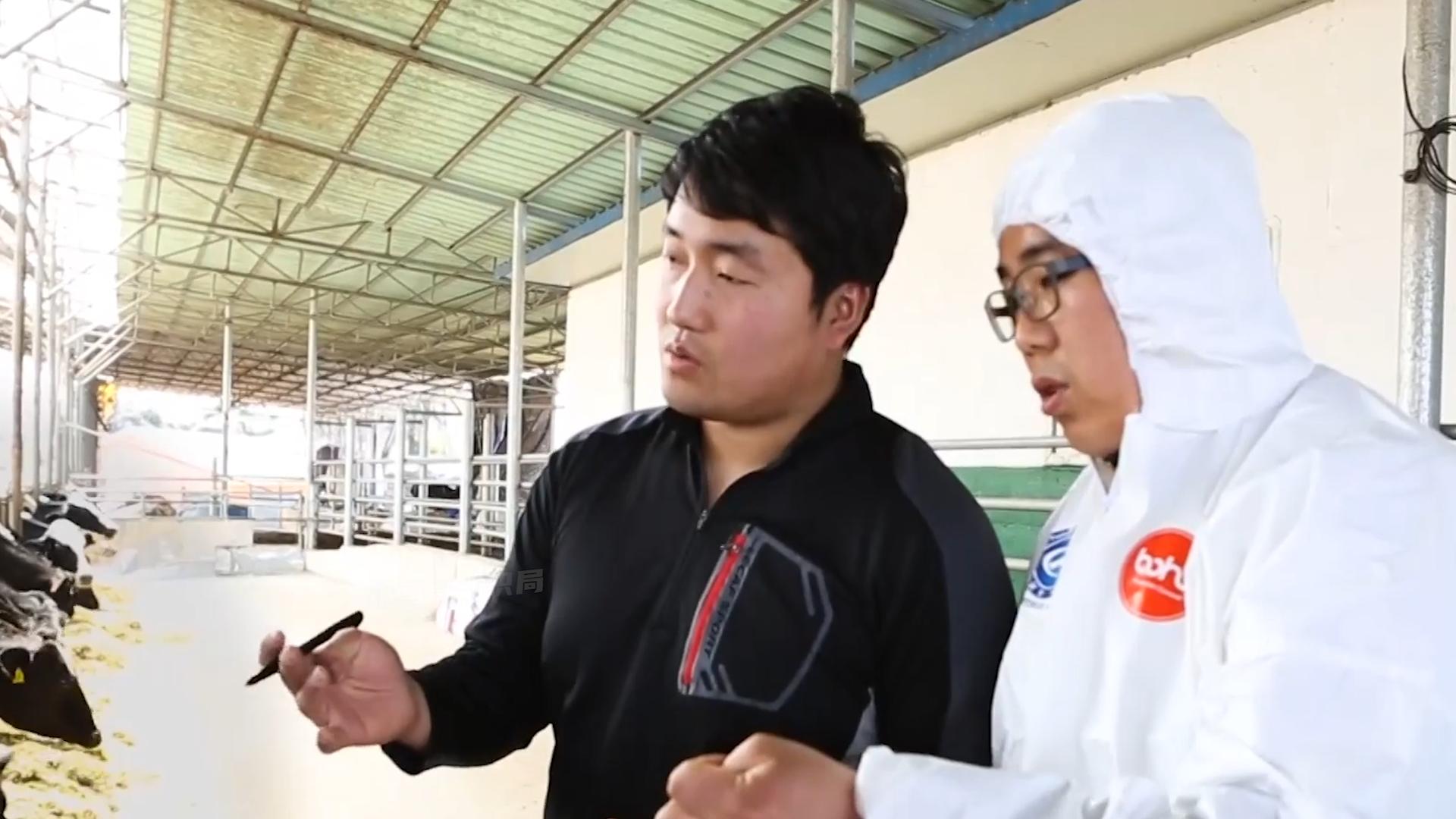 韩国人西瓜为什么贵,韩国人西瓜真的那么贵吗