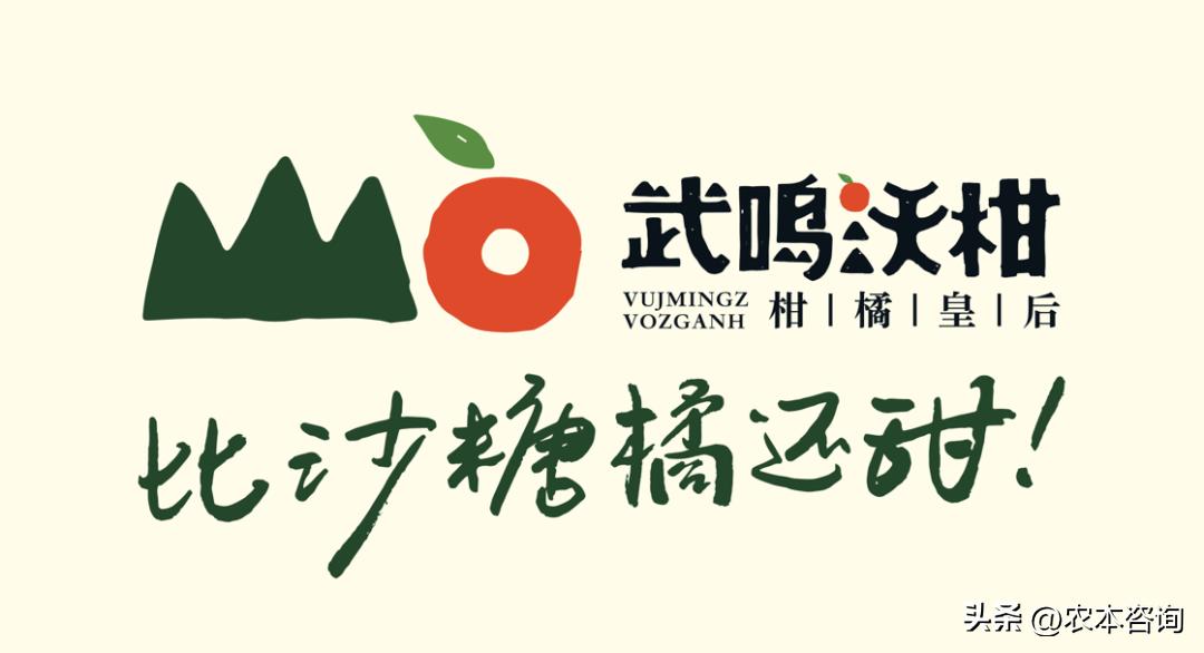 武鸣沃柑什么品种最好,武鸣沃柑热销全球