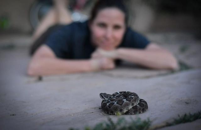 蛇不怕雄黄它究竟怕什么呢,蛇不怕雄黄粉而怕什么