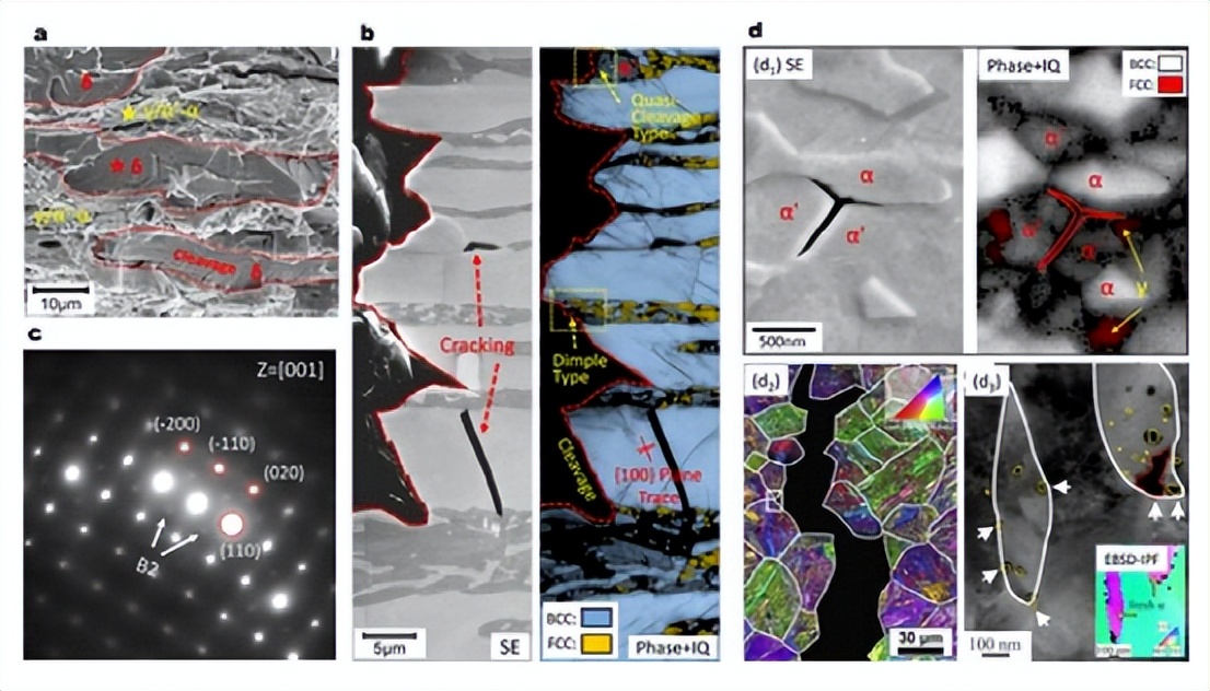 马普所顶刊综述：高强中锰钢的相变现象及其力学行为！