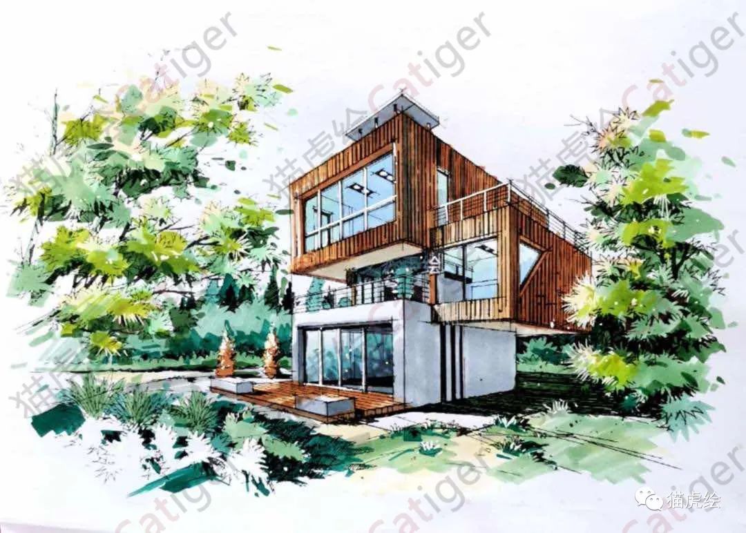 2022猫虎绘暑假手绘班招生简章「线上+线下」