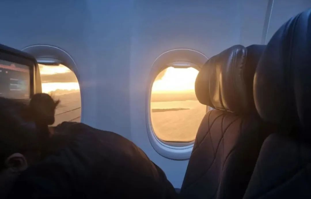 中国流浪女在新西兰,中国姑娘在新西兰街头流浪