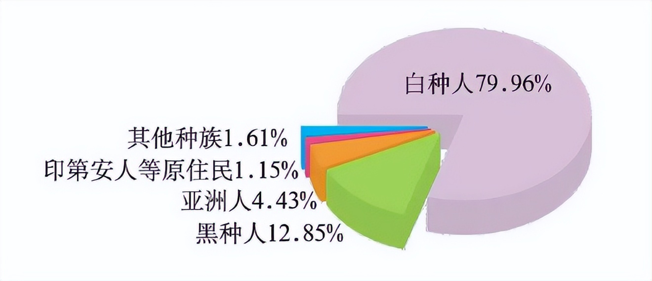 美国黑人，来历很凄惨，现状很悲催