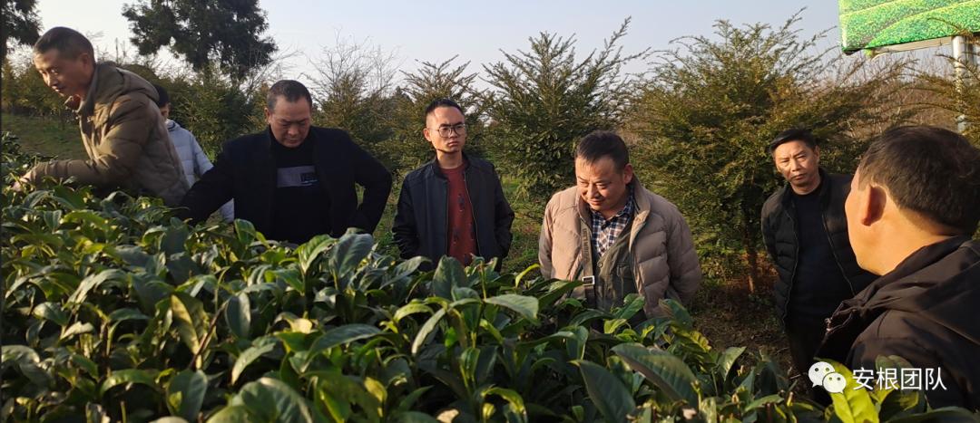 种植专业合作社有什么好处和坏处,农业合作社的危害