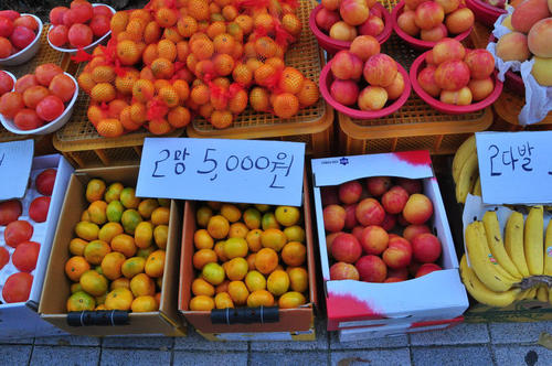 69张相片看越战,韩国生活的真实记录