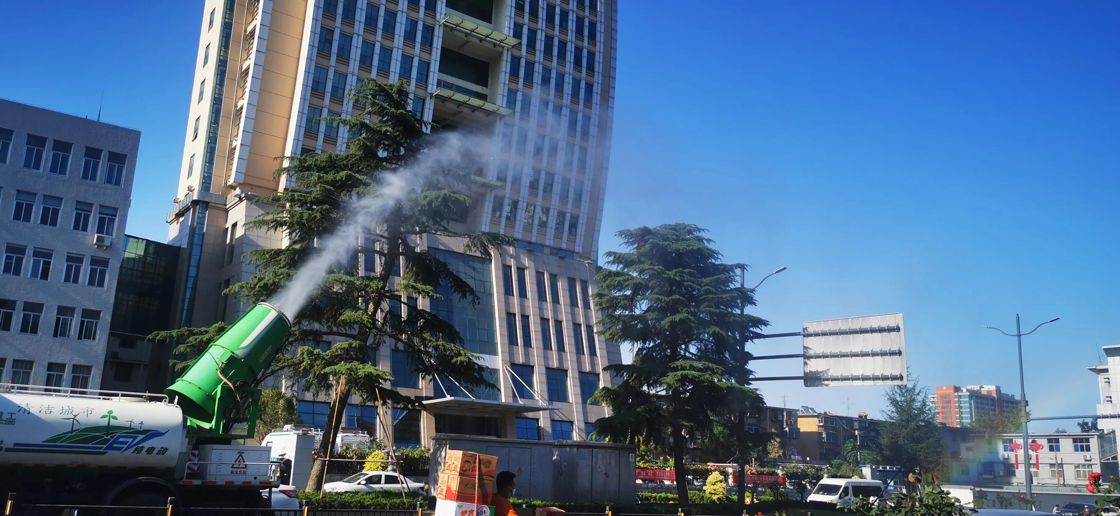 杨絮怎么快速处理,杨絮如何治理