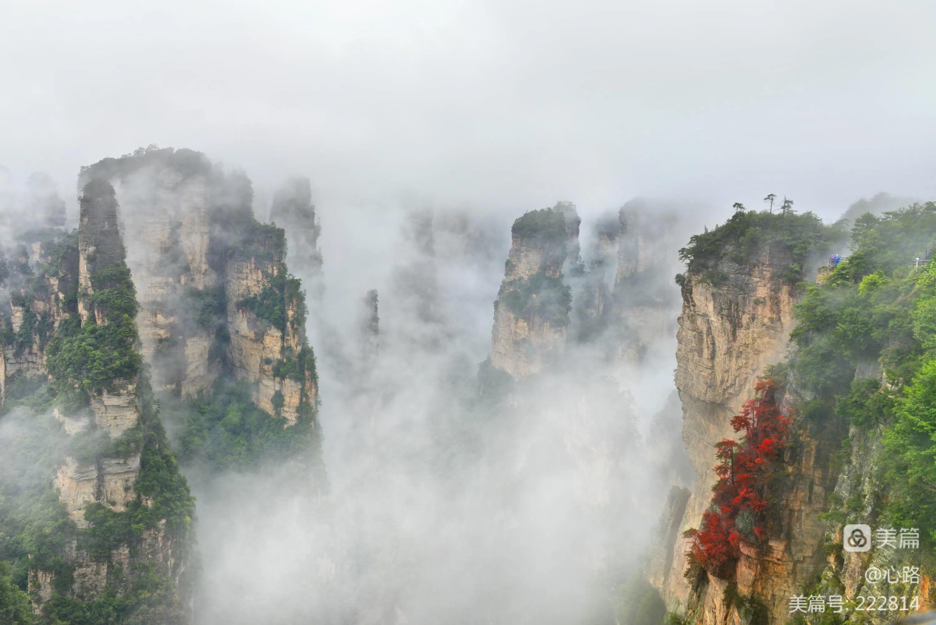仙境张家界惊艳全世界,张家界的峰林峡谷仙境