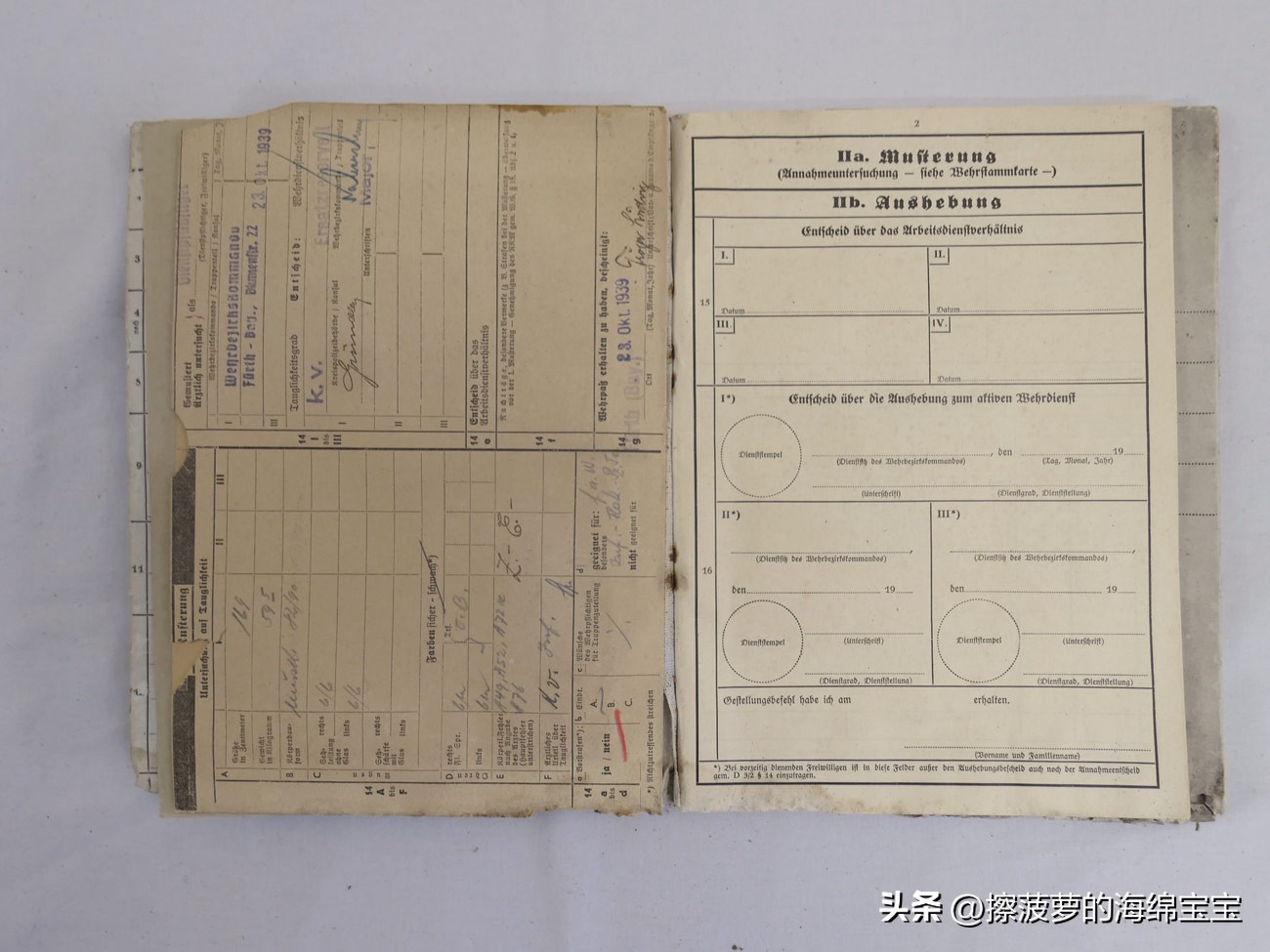 二战时德国军人的肩章,二战德国兵种领章