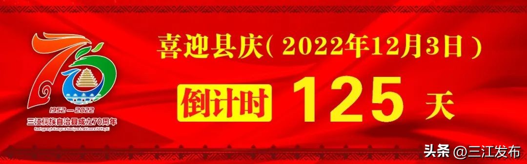 乡村振兴与脱贫攻坚衔接工作思路,茶产业助推脱贫攻坚座谈会
