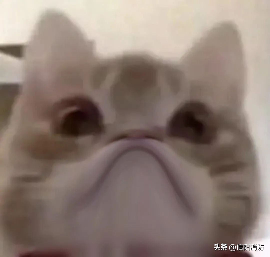 手机掉进粪坑里迅速捡起有影响吗,手机掉进粪坑里捞出来还能用吗