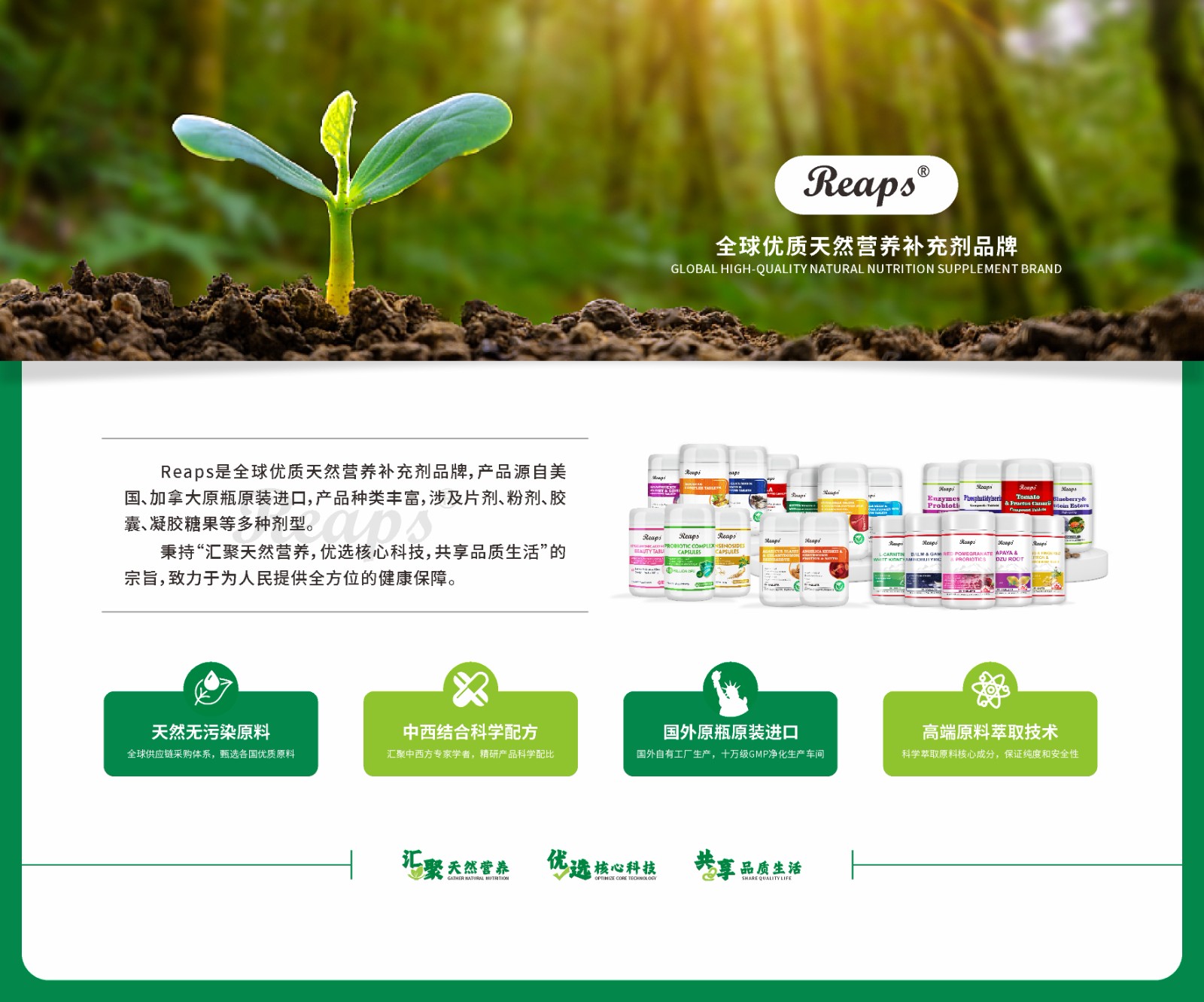 瑞普斯集团最新消息,瑞普斯旗舰店