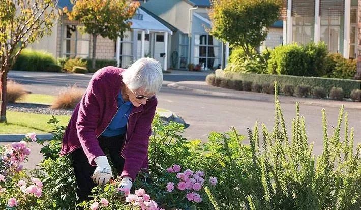 新康养世界行|新西兰「最牛最赚钱的康养社区」靠这套模式打天下