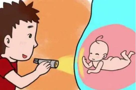 光照胎教具体怎么做,光照胎教胎宝宝真的能看到光吗