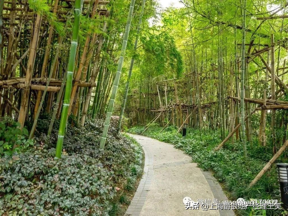 大华十八街区精装电梯三房125平!昌邑小学!交通便利!户型正气