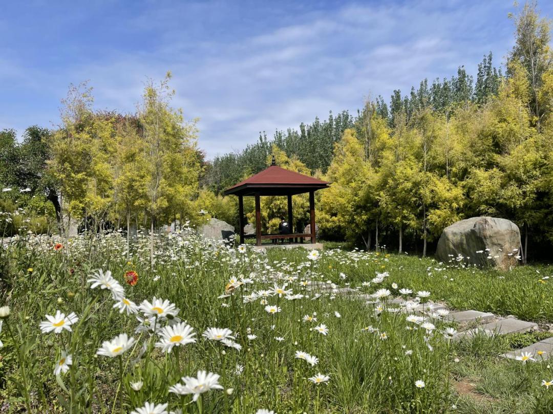 西昌五一旅游攻略学生,五一假期好去处推荐西昌