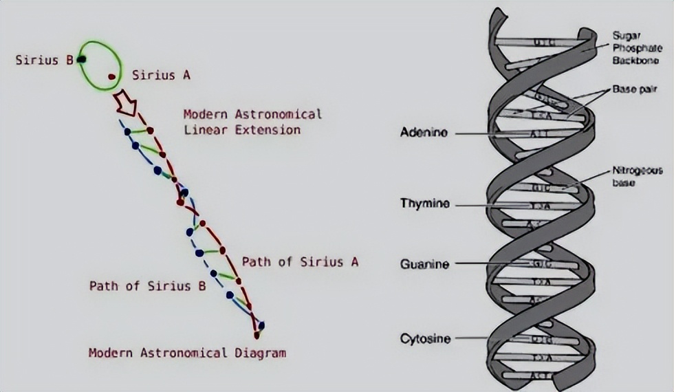第一章忆起我们古老的过去（3）〔生命之花的灵性法则1〕