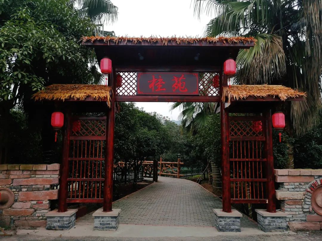 重庆乡村振兴示范村名单,重庆乡村一日游哪些地方好耍