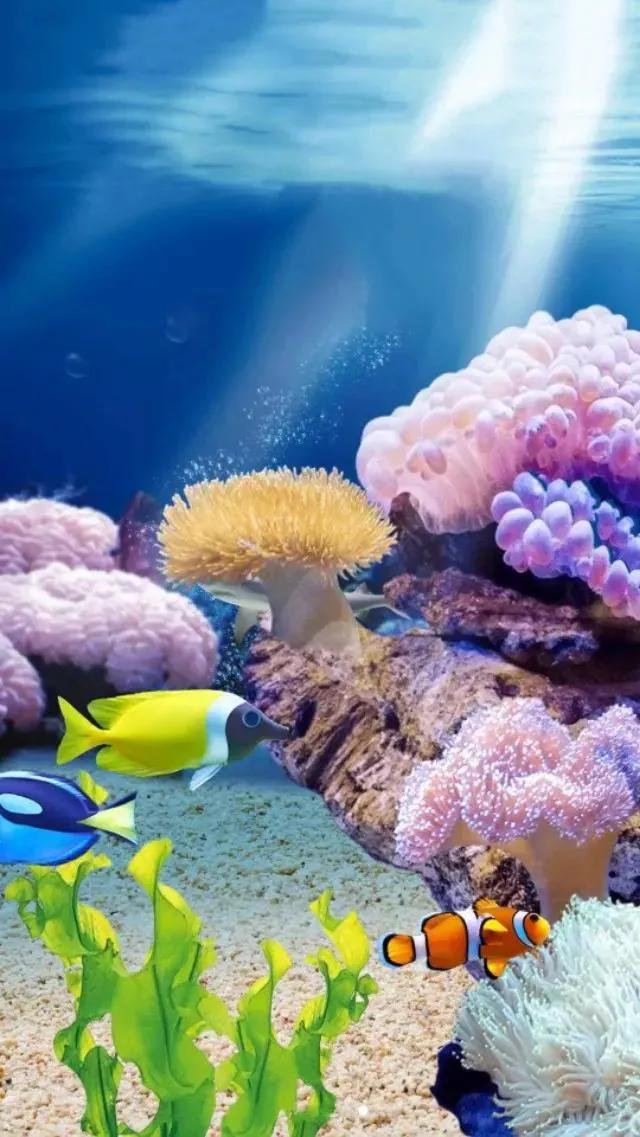 海底奇妙世界图片,海底世界的图片