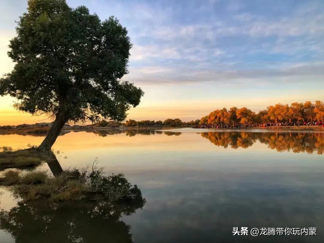 初秋额济纳胡杨林风景,额济纳秋天美景