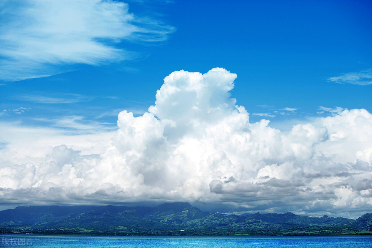 五年级第八单元好书推荐500字作文,五年级上册语文8单元习作范文