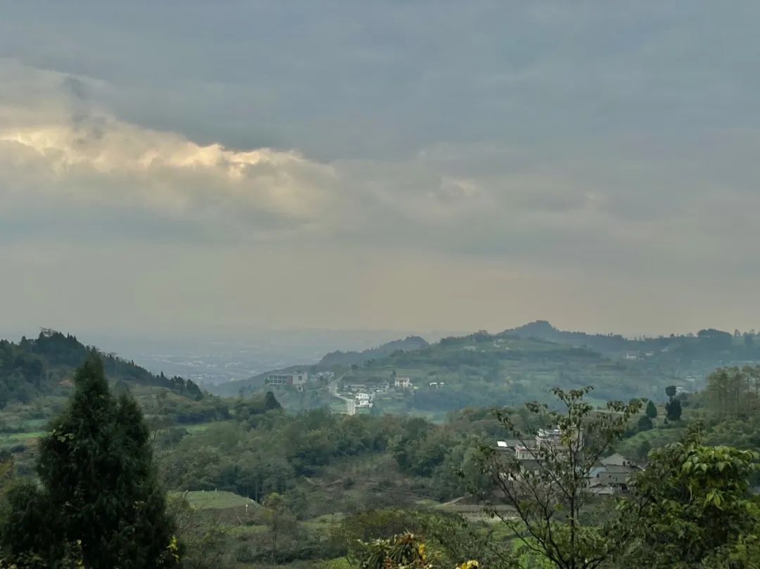 成都旅游豌豆尖,成都仰天窝近郊爬山推荐