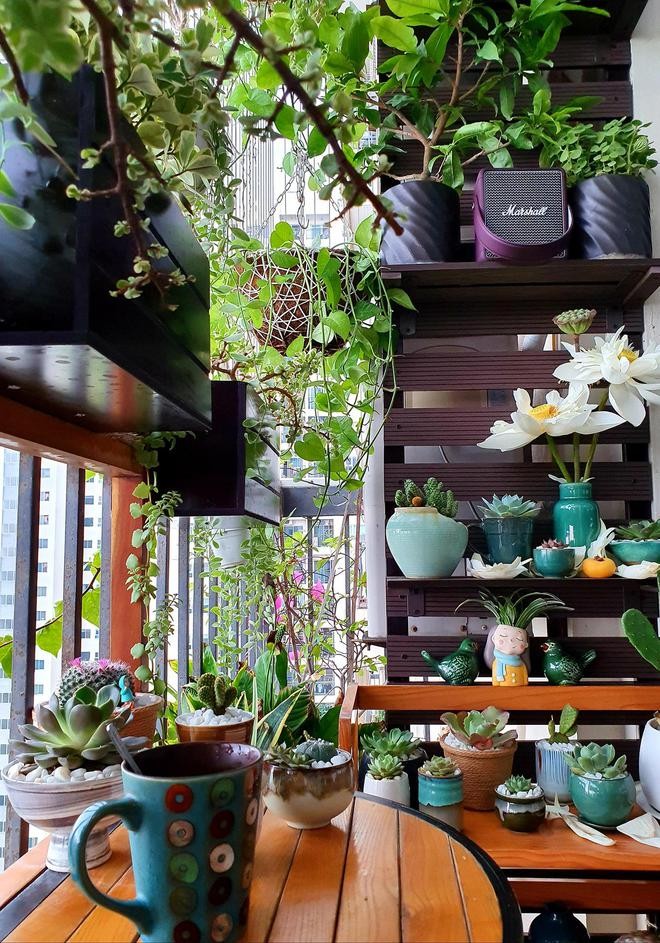 老年人就喜欢花花草草,老年花花草草