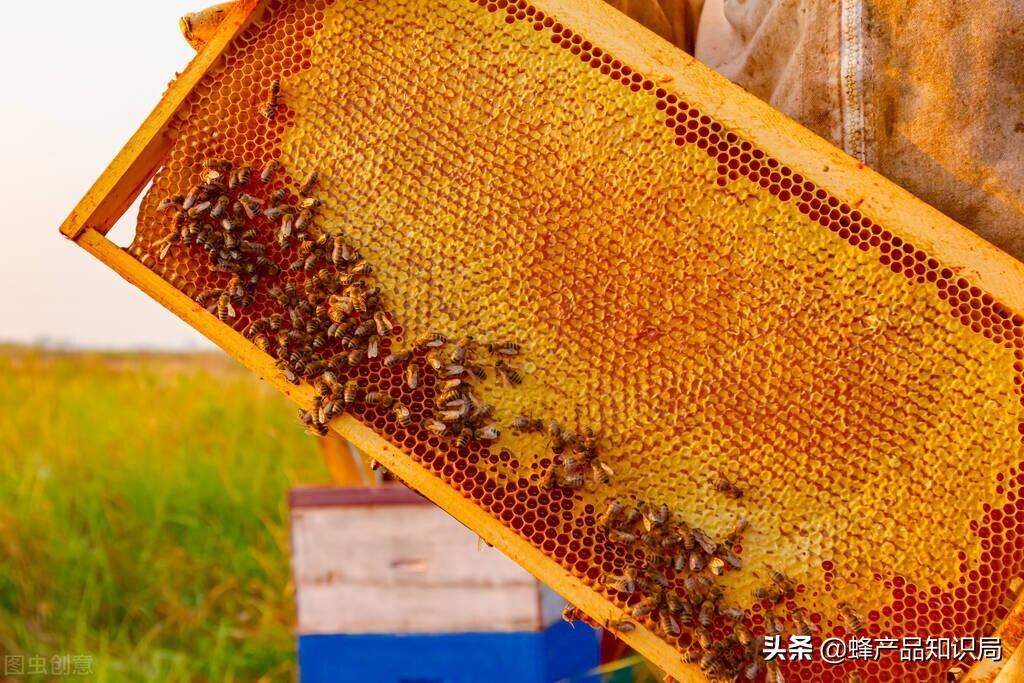 蜂巢蜜有蜂蜡吗,蜂巢蜜中的蜂蜡能不能吃