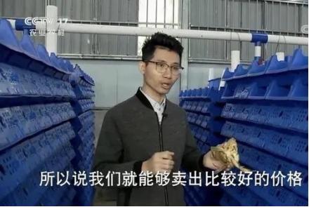 放弃60万年薪回乡创业，年入500万带动当地经济，他赚钱秘籍是啥