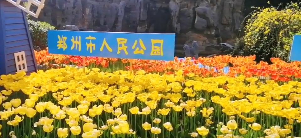 郑州周末遛娃踏青好去处,郑州春季带孩子游玩好去处推荐